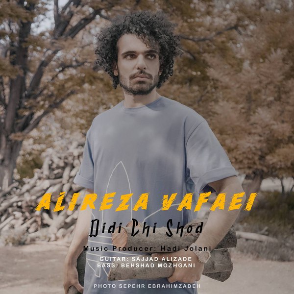 دانلود آهنگ دیدی چی شد